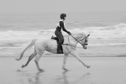 HC - Cantering at Druridge Bay by John Austin